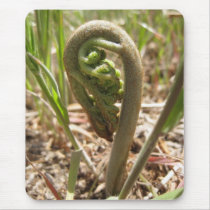 Magical Ferns (5) Mouse Pad
