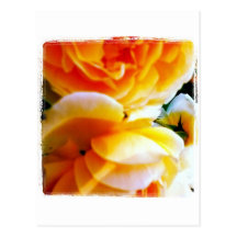 Magical Flower Postcard