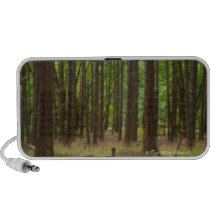 Magical Forest Travel Speakers