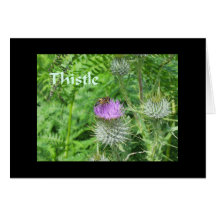 Magical Plants - Thistle Card