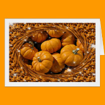 Magical Pumpkins cards