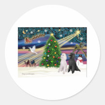 Magie-Caniche ST-Pair2 de Noël Autocollants