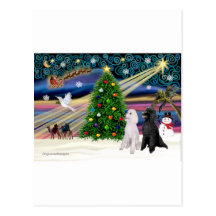 Magie-Caniche ST-Pair2 de Noël Cartes Postales