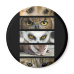 Magnet - Animals Eyes