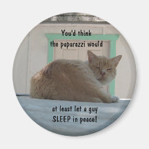 Magnet: Cat waking up cranky