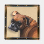 Magnet de chien de boxeur magnets pour réfrigérateur