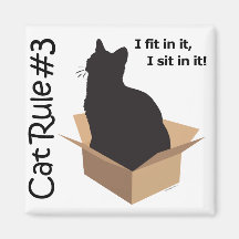 Magnet de la règle #3 de chat magnets