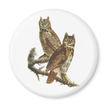 Magnet: Great Horned Owl by John James Audubon