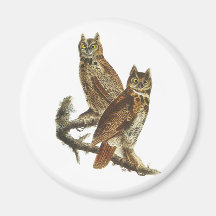 Magnet: Great Horned Owl by John James Audubon