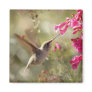 Magnet_Hummingbird
