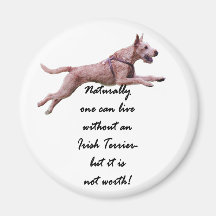 Magnet "Irish Terrier" "Naturally you can ..." Magnete