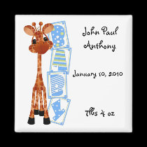 Magnet Jungle Baby Boy Infant magnets