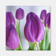 Magnet - Spring Purple Tulips