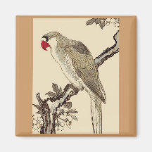 Magnet, Square, Japanese parrot