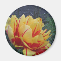 magnet with flower