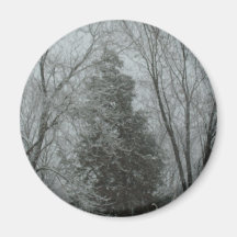 Magnet with snow-covered trees