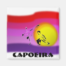 magnets capoeira martial arts axe ginga