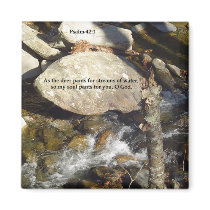 Magnets: Stream Psalm