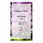 Magnificant Magnolia Business Card