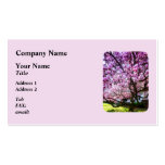Magnificant Magnolia Business Card Templates