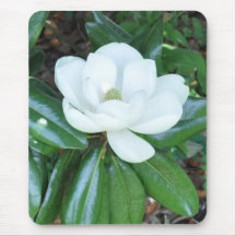 Magnificant Magnolia Mousepads