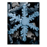 Magnified Hexagonal Dendrite Snowflake Post Cards