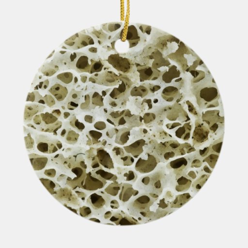 Magnified Porous Texture from the Human Hip Bone Ornament
