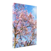 Magnolia Against the Sky Canvas Print