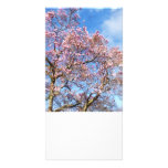 Magnolia Against the Sky Personalized Photo Card