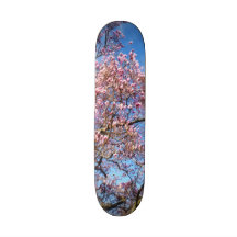 Magnolia Against the Sky Skate Decks