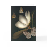 magnolia and butterflies1 note card