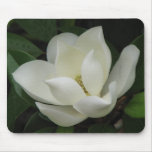 Magnolia Bloom Mouse Mats