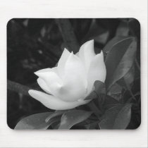 Magnolia Bloom Mouse Mats