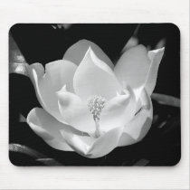 Magnolia Bloom Mouse Pads