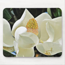 magnolia bloom mousepad