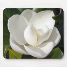 Magnolia Bloom Mousepads