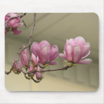 Magnolia Blooms Mouse Pad