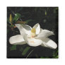 Magnolia Blossom Magnet