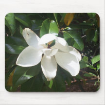 Magnolia Blossom Mouse Mats