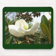 Magnolia Blossom Mousepads