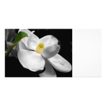 Magnolia Blossom Photo Cards