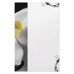 Magnolia Blossom Stationary stationery