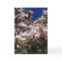 Magnolia blossom Valentine's Card