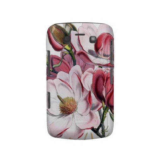 Magnolia Botanical Blackberry Cases