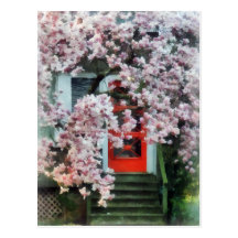 Magnolia by Red Door Post Cards