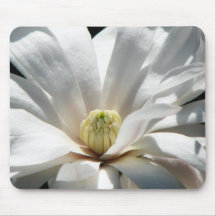 Magnolia Centennial  Bloom Mousepads