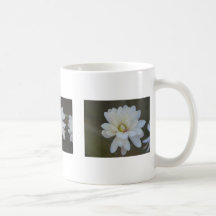 Magnolia Centennials Coffee Mugs