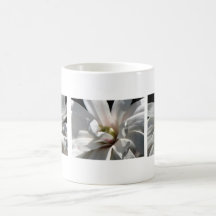 Magnolia Centennials Coffee Mugs