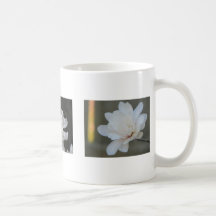 Magnolia Centennials Mug