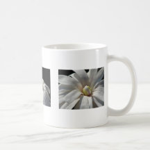 Magnolia Centennials Mug